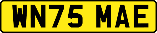 WN75MAE