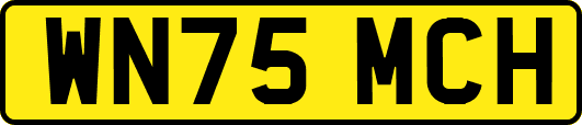 WN75MCH