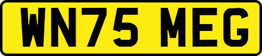 WN75MEG