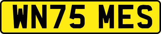 WN75MES