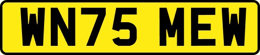 WN75MEW