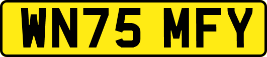 WN75MFY