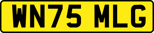 WN75MLG