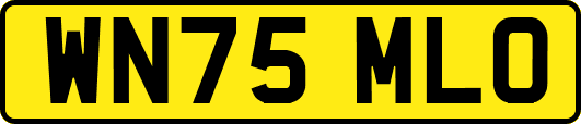 WN75MLO
