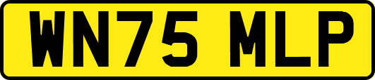 WN75MLP