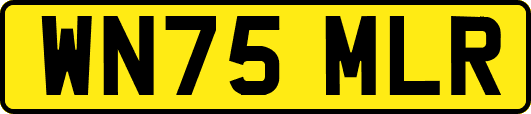 WN75MLR