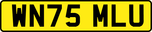 WN75MLU