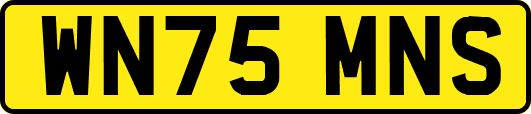 WN75MNS