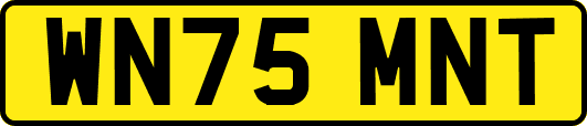 WN75MNT
