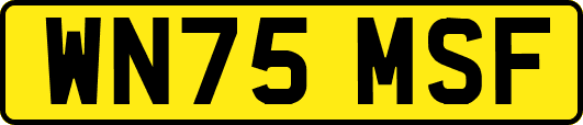 WN75MSF
