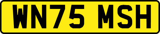 WN75MSH