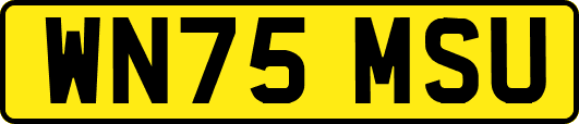 WN75MSU