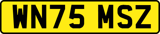 WN75MSZ