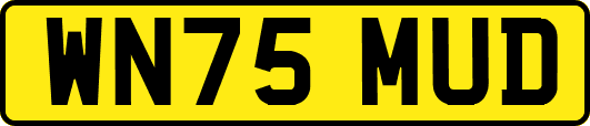 WN75MUD