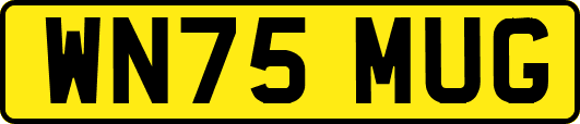 WN75MUG