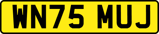 WN75MUJ