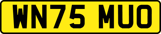 WN75MUO