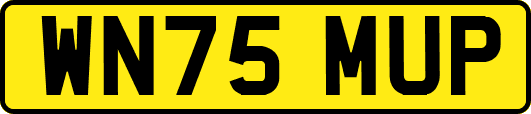 WN75MUP