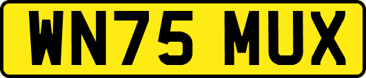 WN75MUX