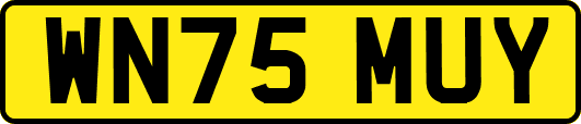 WN75MUY