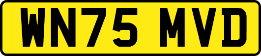 WN75MVD