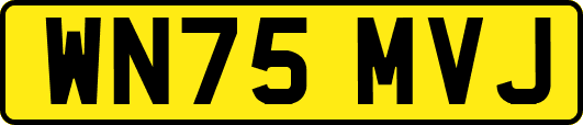 WN75MVJ