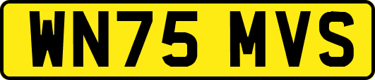 WN75MVS