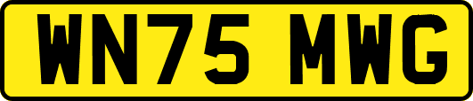 WN75MWG
