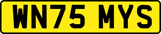 WN75MYS