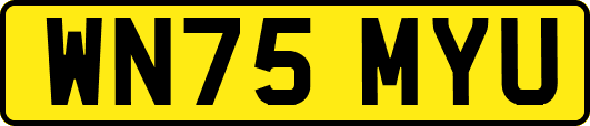 WN75MYU