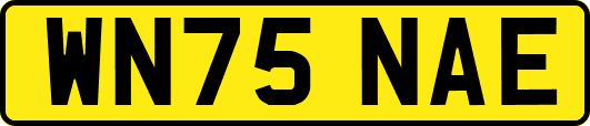 WN75NAE