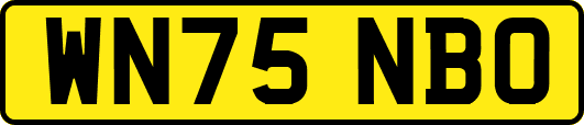 WN75NBO
