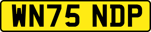 WN75NDP