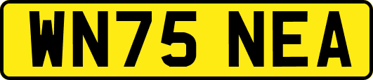 WN75NEA
