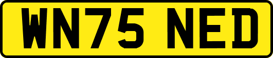 WN75NED