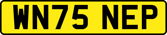 WN75NEP