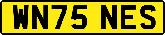 WN75NES
