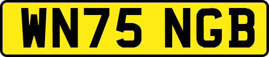 WN75NGB