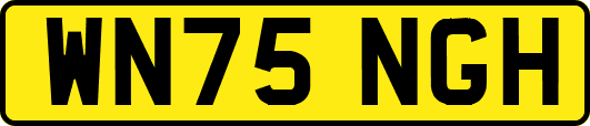 WN75NGH