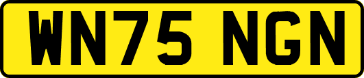 WN75NGN