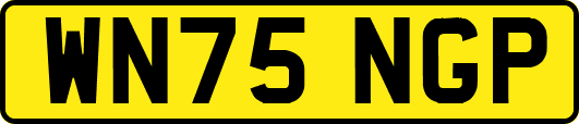 WN75NGP