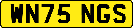 WN75NGS