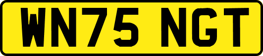 WN75NGT