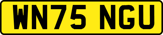 WN75NGU