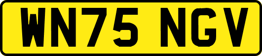 WN75NGV