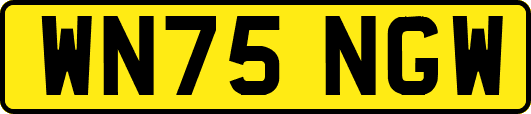 WN75NGW
