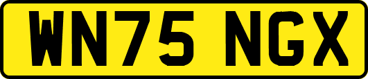 WN75NGX