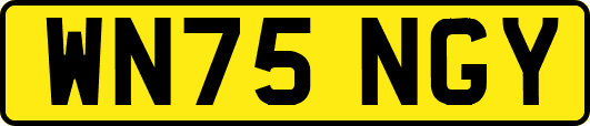 WN75NGY