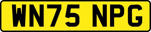 WN75NPG