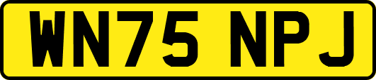 WN75NPJ